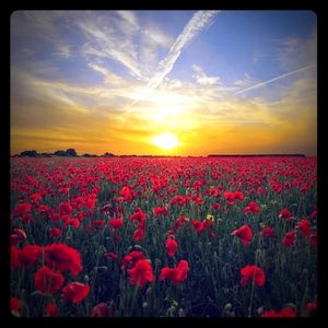 Meet your Posher, Chloe